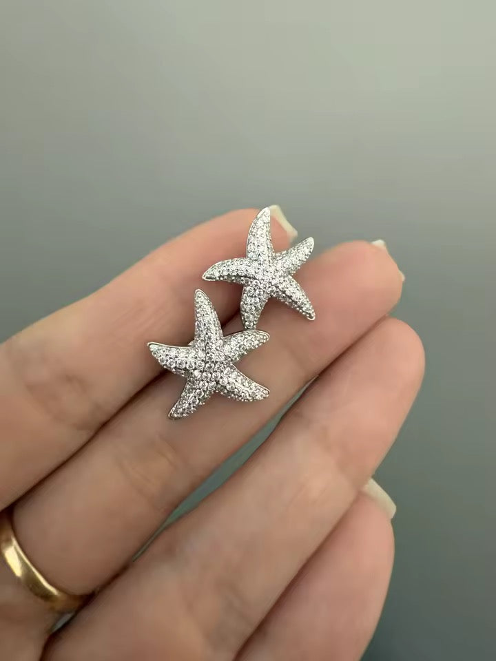 Dazzling Sterling Silver Star Stud Trendy Earrings