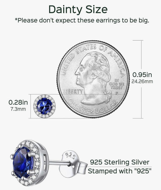 925 Sterling Silver Halo Stud Earrings for Women Birthday Jewelry (with Gift Box)